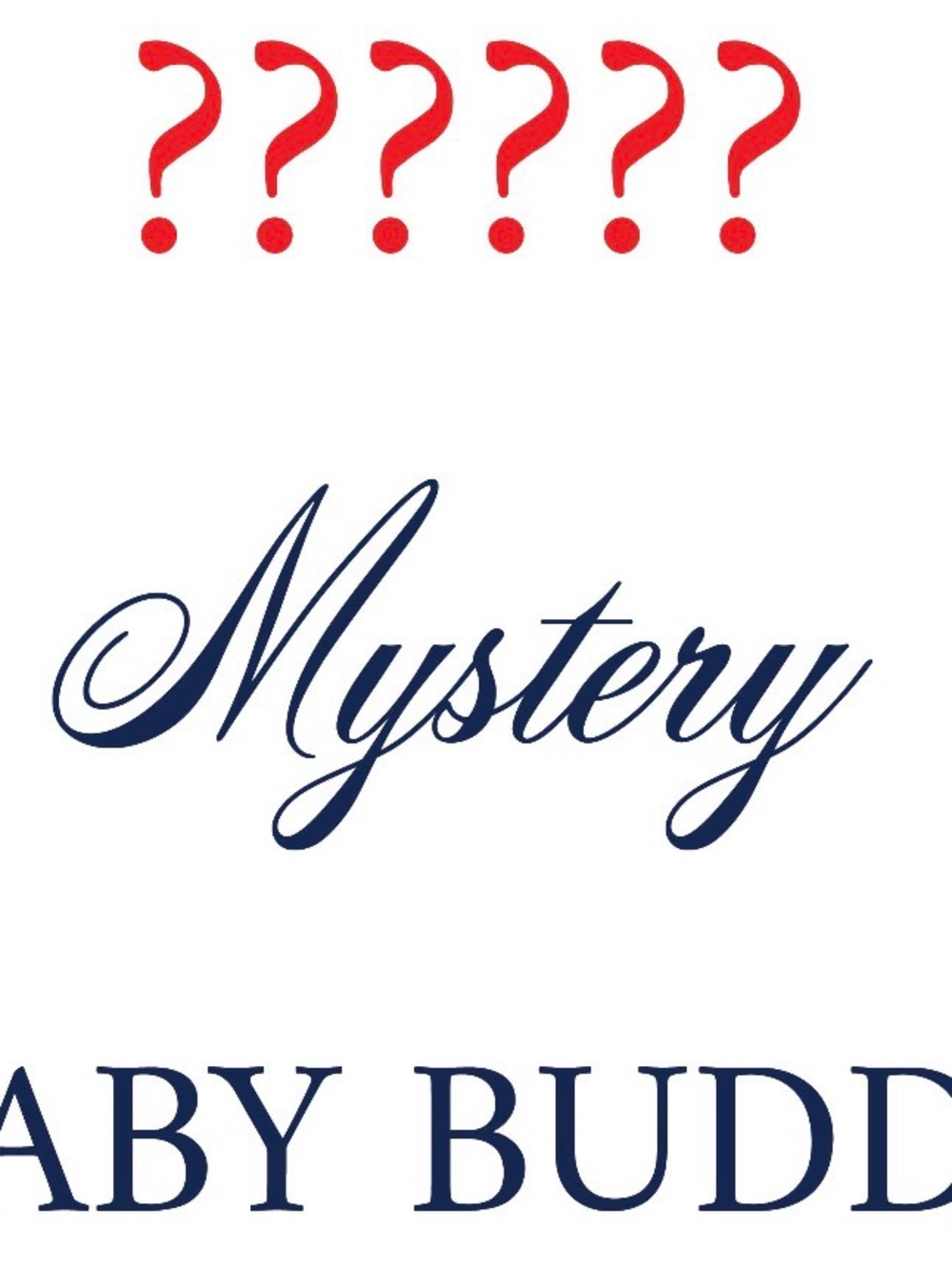 Carter's Red and Navy Mystery Baby Shower Sign